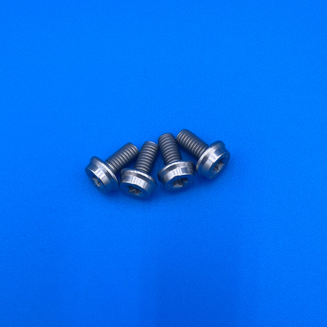 RTX-1 Rear Battery Bracket Screws part# 17