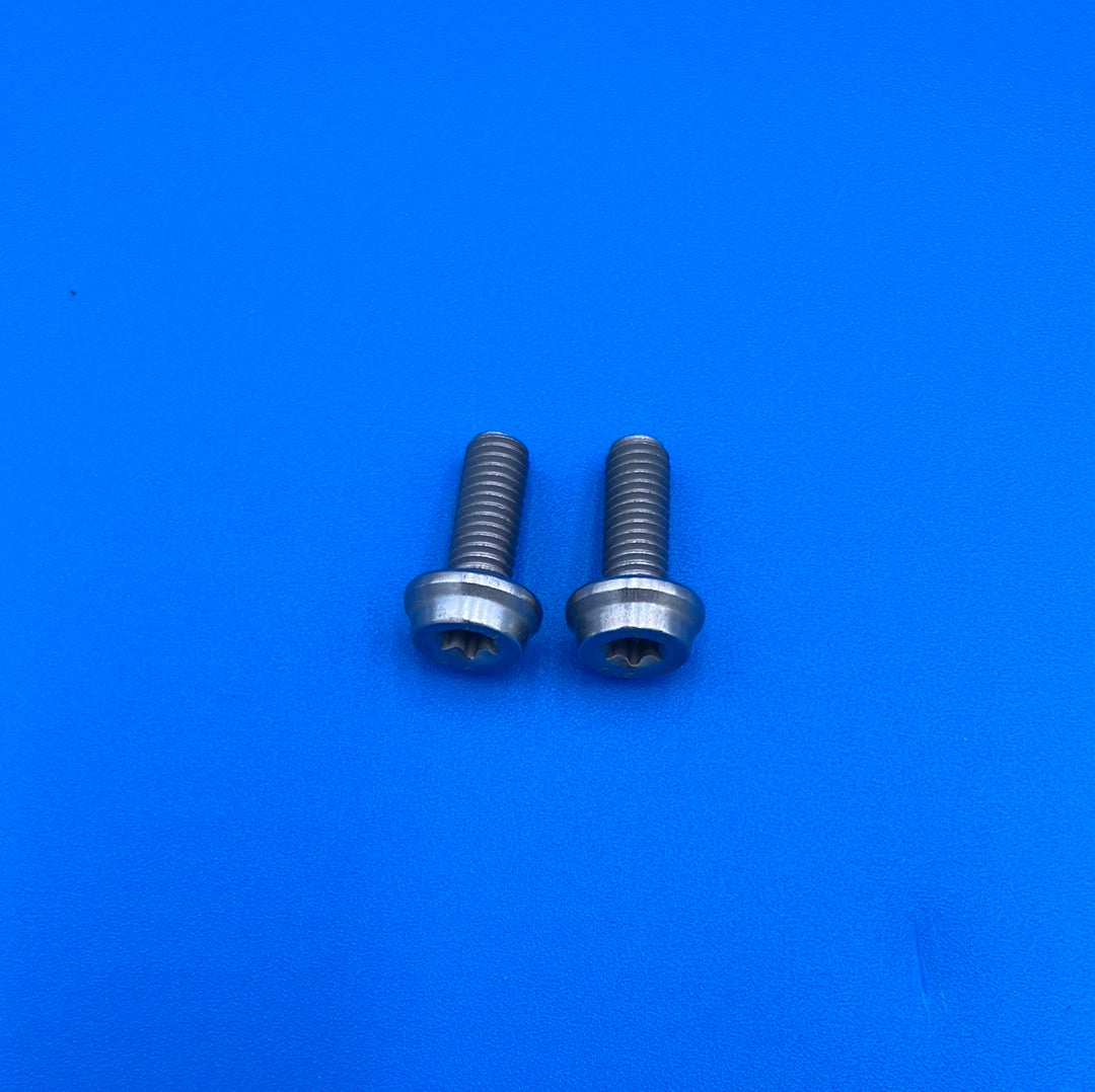 RTX-1 Rear Master Cylinder Screws part# 93