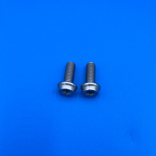 RTX-1 Rear Master Cylinder Screws  part# 93