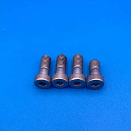 RTX-1 Foot-peg Mount Bolt Set part# 25 and 26