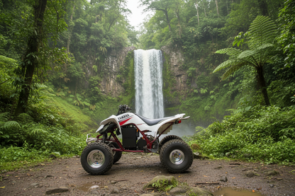 Converted 01 Yamaha Raptor 660